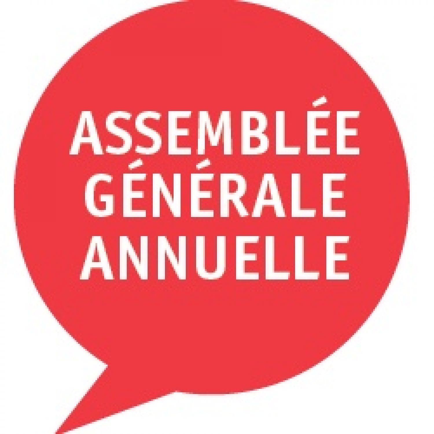 Assemblée générale de la section